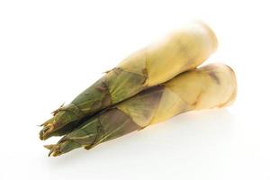 Bamboo shoot isolated photo