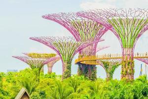 Garden by the bay in Singapore photo
