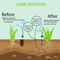 Gardening of lawns, landscape design services. Green lawn on the ground in the context of the benefits of aeration of a hollow tube tool compared to the conventional method. vector