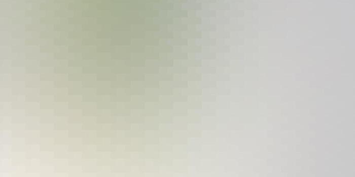 Light Gray vector layout with lines, rectangles.