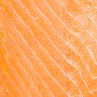 Raw salmon meat photo