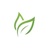 green leaf logo ecology nature vector icon