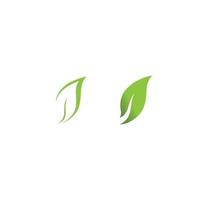 logotipos de la ecología de la hoja del árbol verde vector