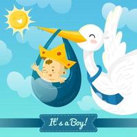 Stork Delivering a Baby Boy vector