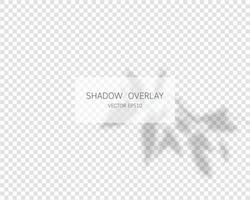 Shadow overlay effect. Natural shadows isolated on transparent background. Vector illustration.