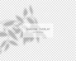 Shadow overlay effect. Natural shadows isolated on transparent background. Vector illustration.