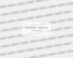 Shadow overlay effect. Natural shadows from window isolated on transparent background. Vector illustration.