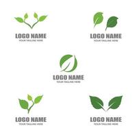 logos de hojas verdes vector