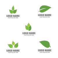 Logos of green leaves vector