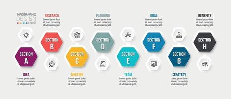 Business concept infographic template with option. vector