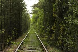 vía de tren a través de un túnel verde foto