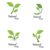 Green nature leaf logo template vector