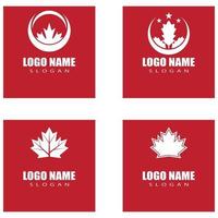 Maple leaf vector illustration design template