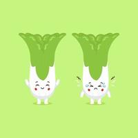 Cute Chinese Cabbage Character Smiling and Sad vector