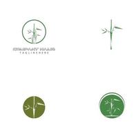 Bamboo logo templates vector