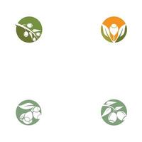 Eucalyptus leaves logo templates vector