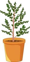 Plant in a pot isolated on white background vector