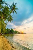 Beautiful paradise island with beach and sea around coconut palm tree photo