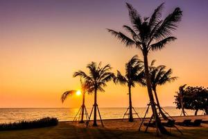 Palm tree on the beach photo