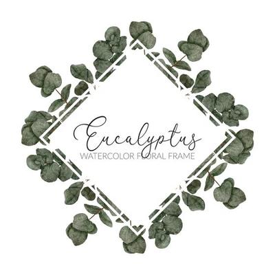 watercolor eucalyptus leaf frame border illustration