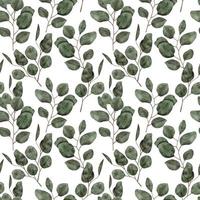 watercolor eucalyptus leaf seamless pattern vector