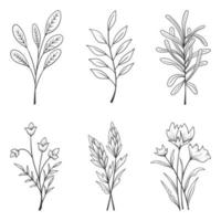 Collection of beautiful herbs and wild flowers and leaves isolated on white background. vector