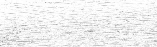 Panoramic texture of light wood with knots - Vector