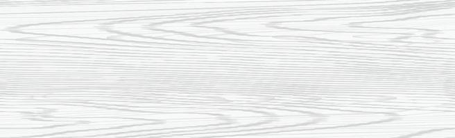 Panoramic texture of light wood with knots - Vector