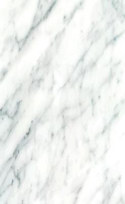 Stone texture white with black marble background - Vector