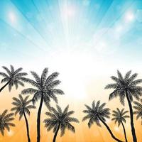 Sunset on the beach with palm trees vector