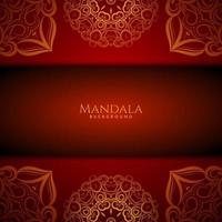 Beautiful mandala design modern  decorative luxury background vector