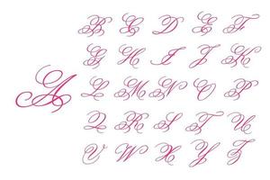 Beautiful handwritten font vector For supporting the wedding message