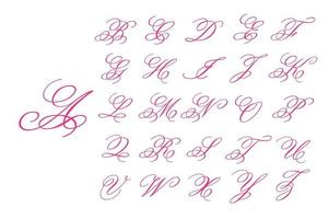 Beautiful handwritten font vector For supporting the wedding message