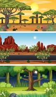 Set of different forest horizontal scenes vector