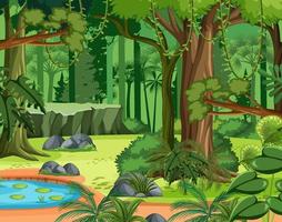 Jungle scene with liana and many trees vector