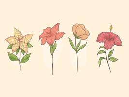 conjunto de flores dibujadas a mano, flor botánica, elemento floral para decoración textil y papel tapiz vector