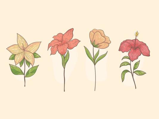 Set of hand drawn flowers, Botanical flower,  floral element for textile decoration and wallpaper