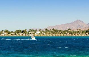 Windsurfer on the beach photo