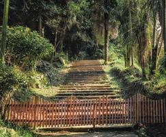 Escalera de piedra y puente en el parque. foto