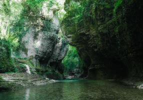 Green forest with a stream photo