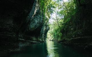 Dark stream in a forest photo