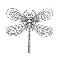 Dragonfly Beetle-Insect coloring book illustration vector