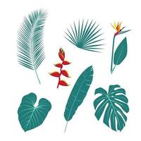 un conjunto de plantas tropicales inusuales vector