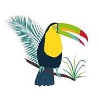 Rainbow toucan-tropical bird vector