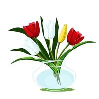 Tulips in a glass vase vector