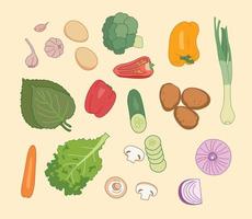 varios tipos de verduras. ilustraciones de diseño de vectores de estilo dibujado a mano.