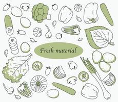 Various types of green vegetables. Hand drawn style vector design illustrations.