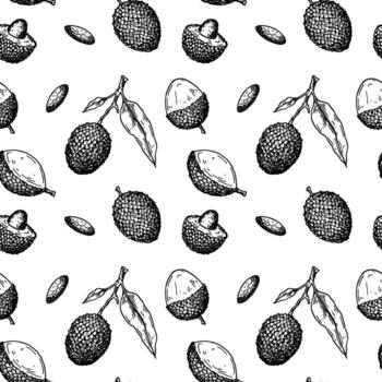 mano dibujada de patrones sin fisuras con frutas, ramas y hojas de lichi. ilustración vectorial en estilo de dibujo botánico vector