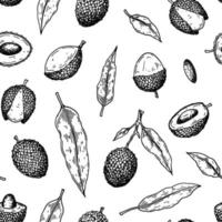 Hand drawn seamless pattern with lychee fruits and leaves. Vector illustration in botanical sketch style