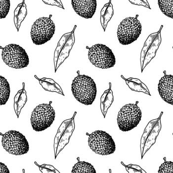 Hand drawn lychee fruit seamless pattern. Vector illustration in botanical sketch style